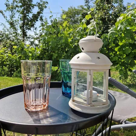 Varta-lak Panorama Preshaz Vendeghaz Ferienhaus