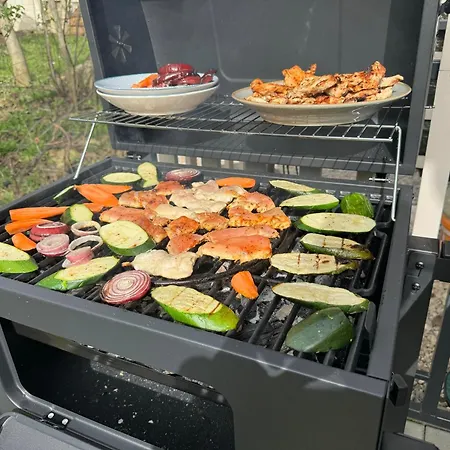 Ferienhaus Varta-lak Panorama Preshaz Vendeghaz Bakonycsernye