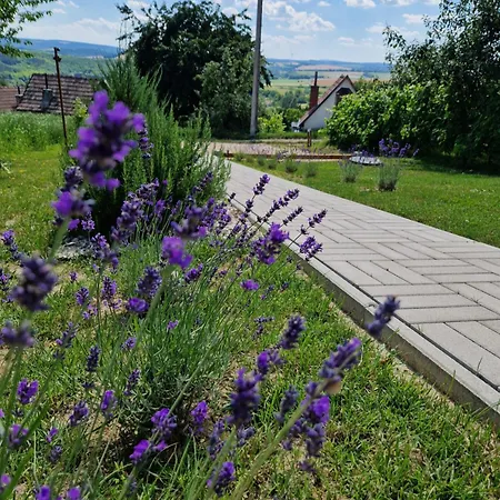 Varta-lak Panorama Preshaz Vendeghaz Ferienhaus *