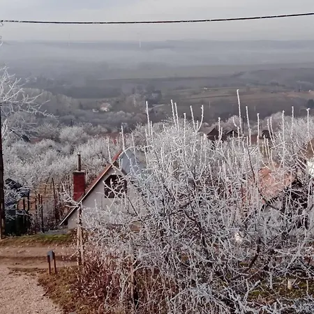 Ferienhaus Varta-lak Panorama Preshaz Vendeghaz